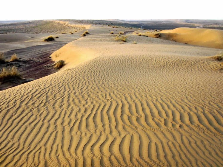 Karakum Desert, Central Turkmenistan, Turkmenistan
